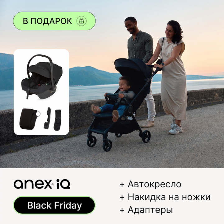 Модульная коляска 2 в 1  Anex IQ